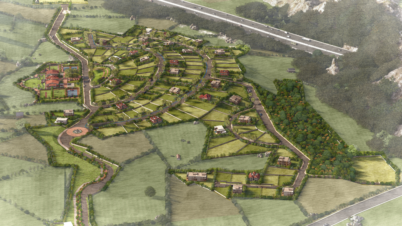 Master Plan Aerial 2